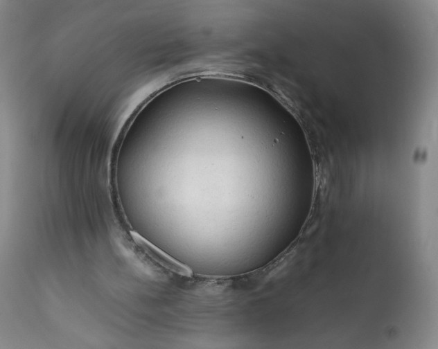 X0000112210148200908211527