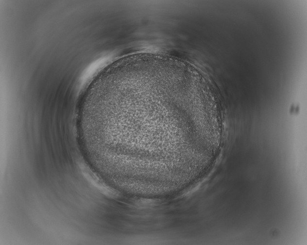 X0000112210149200908211527