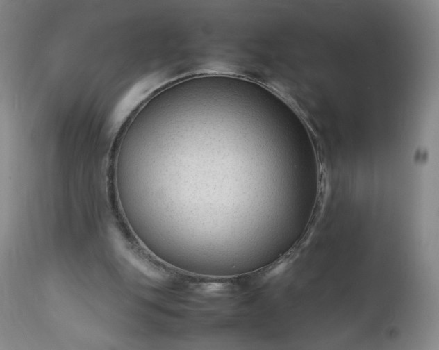 X0000112210151200908211527