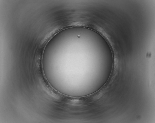 X0000112210153200908211527