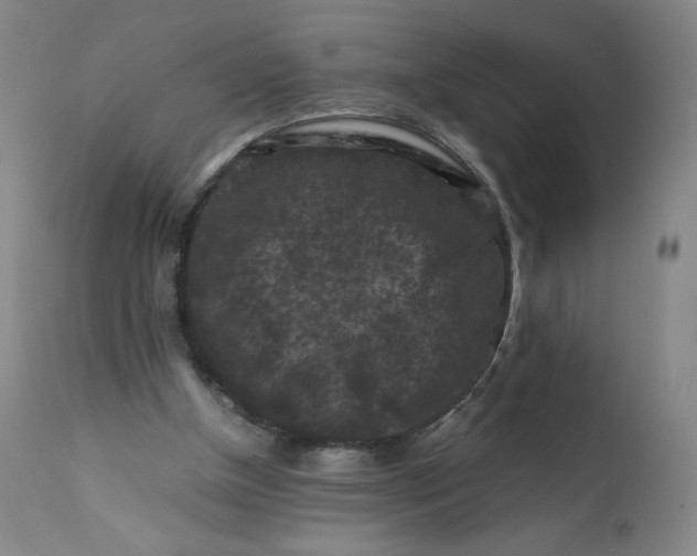 X0000112210154200908211527