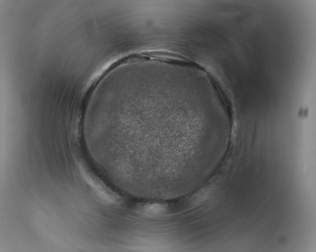 X0000112210156200908211527