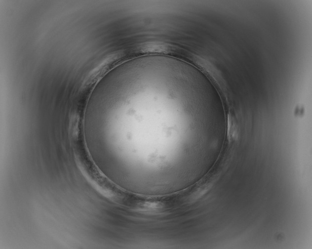 X0000112210157200908211527