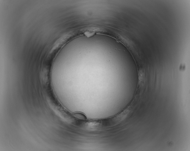 X0000112210158200908211527