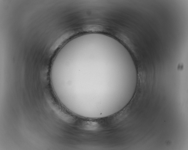 X0000112210159200908211527