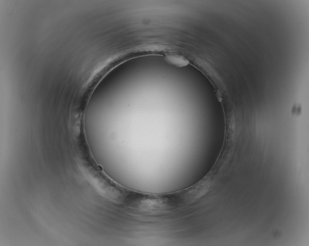 X0000112210160200908211527