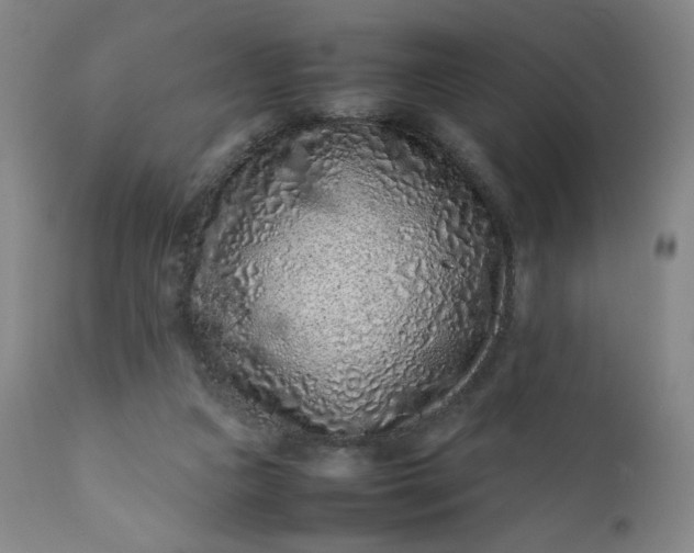 X0000112210161200908211527