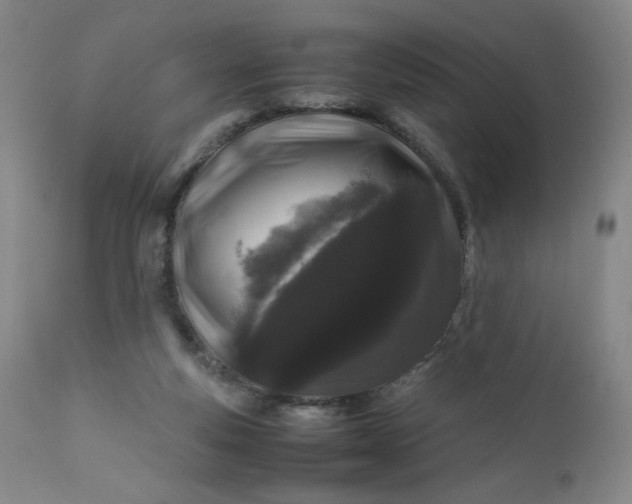 X0000112210163200908211527