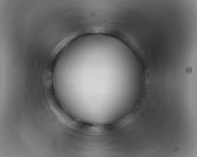 X0000112210164200908211527