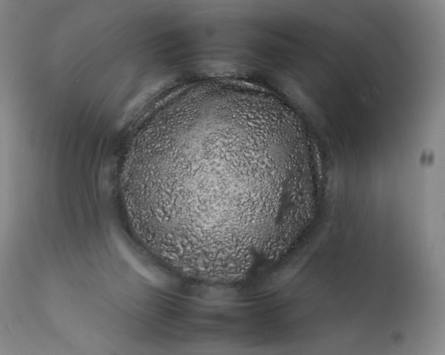 X0000112210165200908211527