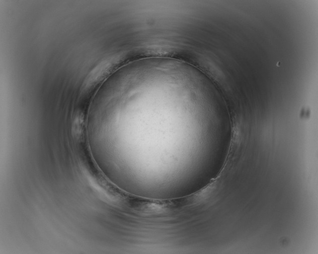 X0000112210166200908211527