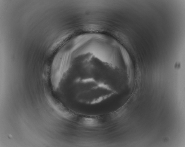 X0000112210167200908211527