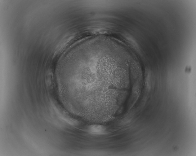 X0000112210169200908211527