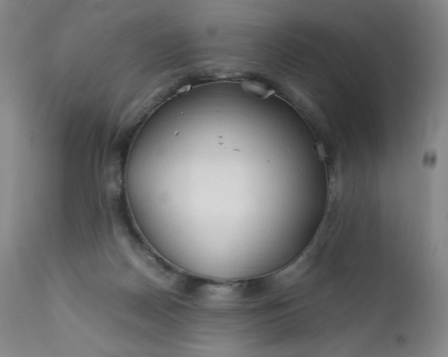 X0000112210170200908211527