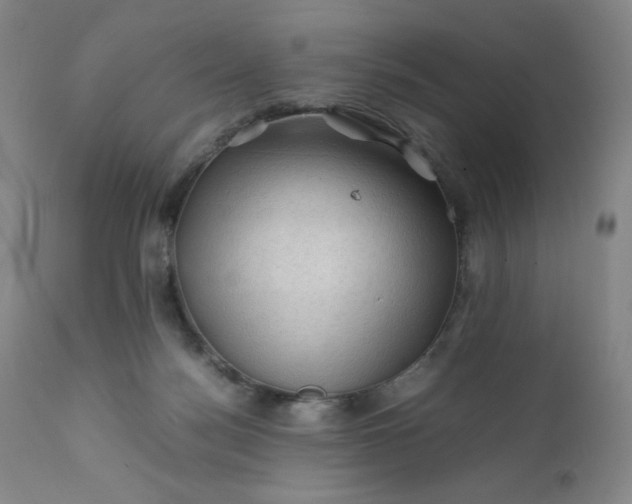 X0000112210172200908211527