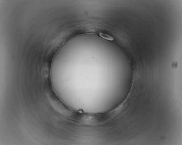 X0000112210174200908211527