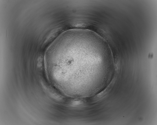 X0000112210175200908211527