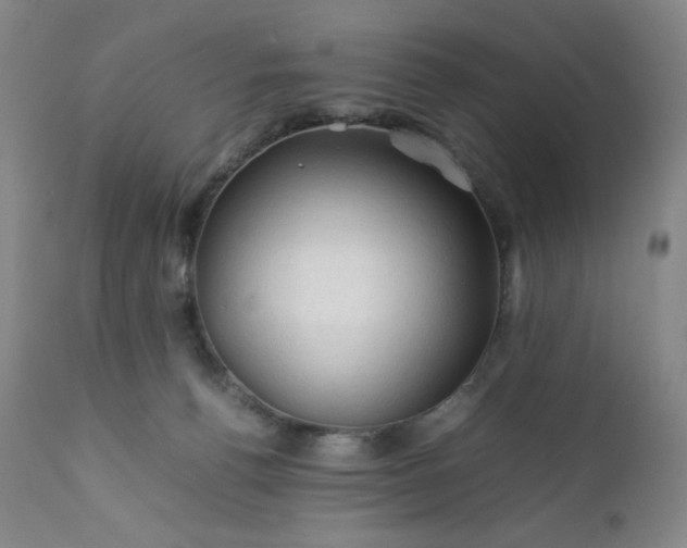 X0000112210176200908211527