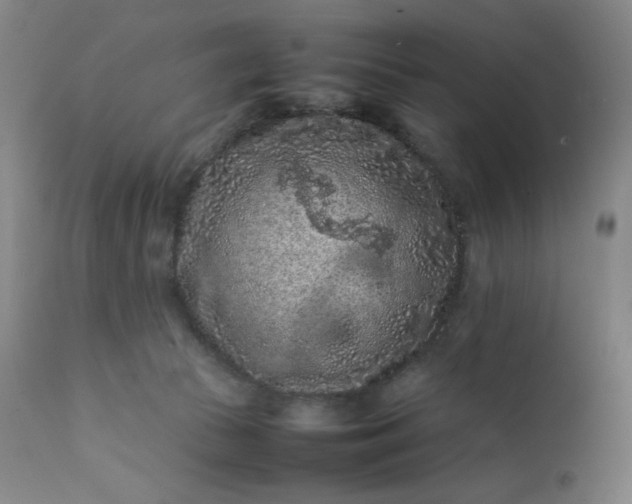 X0000112210177200908211527