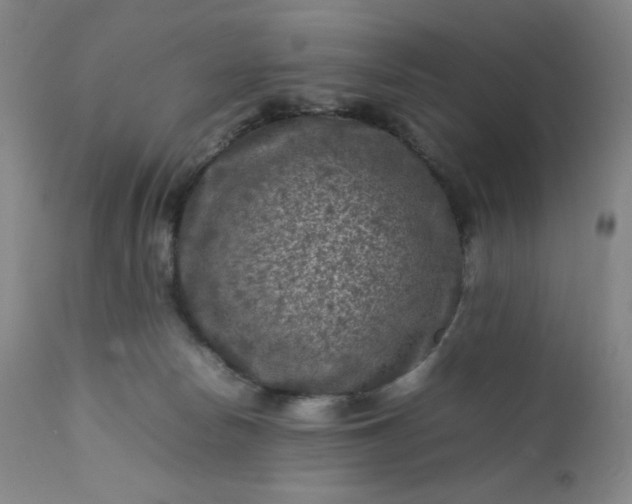 X0000112210178200908211527