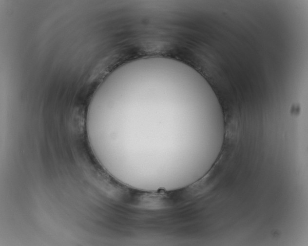 X0000112210179200908211527