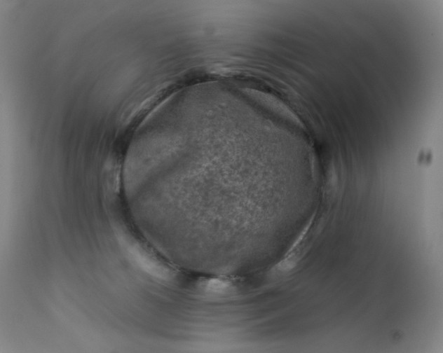 X0000112210180200908211527