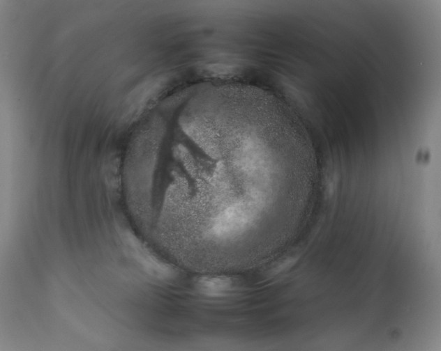 X0000112210181200908211527