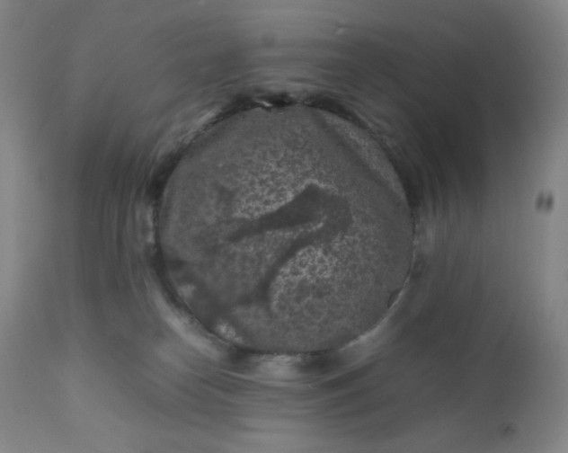 X0000112210182200908211527