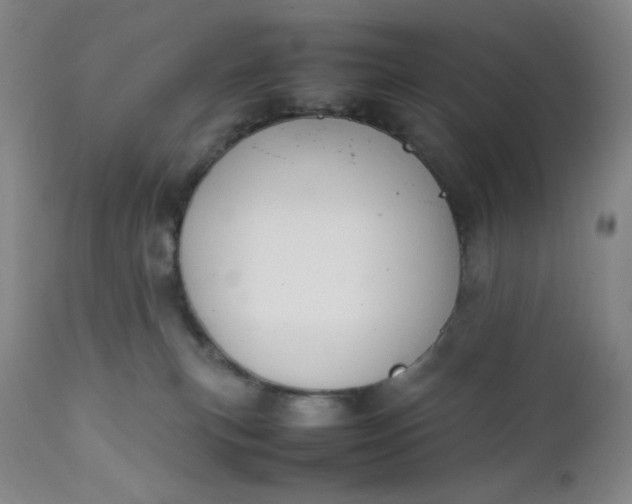 X0000112210183200908211527