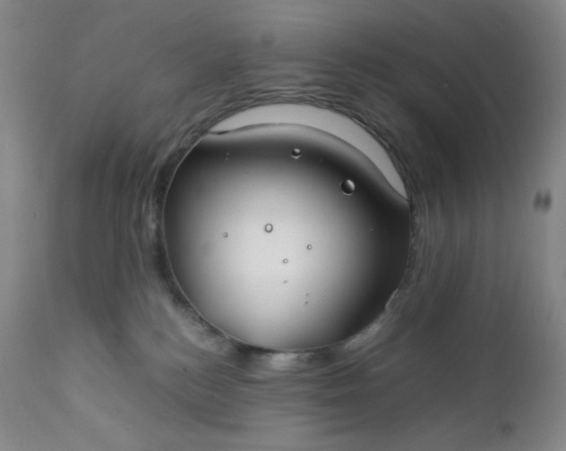 X0000112210184200908211527