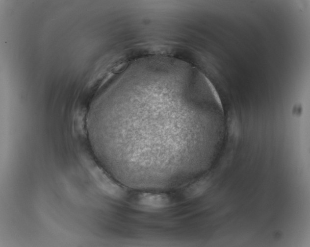 X0000112210185200908211527