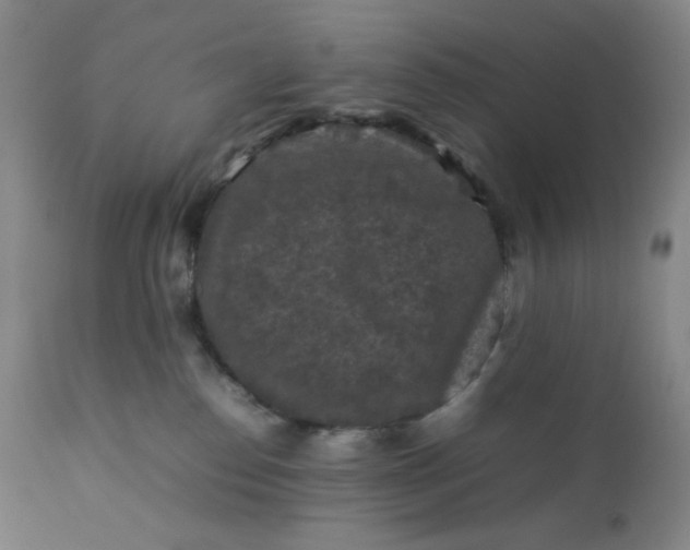 X0000112210186200908211527