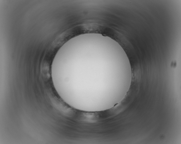 X0000112210187200908211527