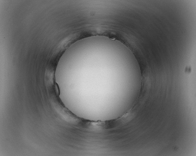 X0000112210188200908211527