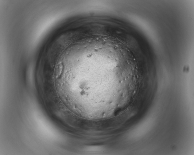 X0000112210189200908211527