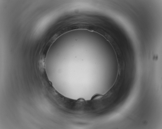 X0000112210190200908211527