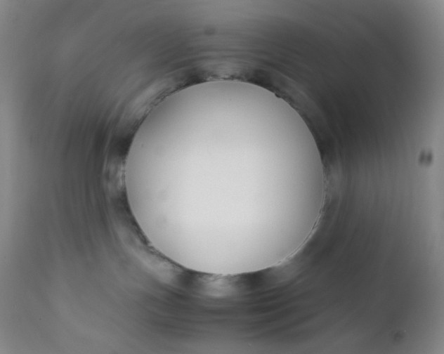 X0000112210191200908211527