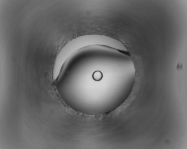 X0000112210192200908211527