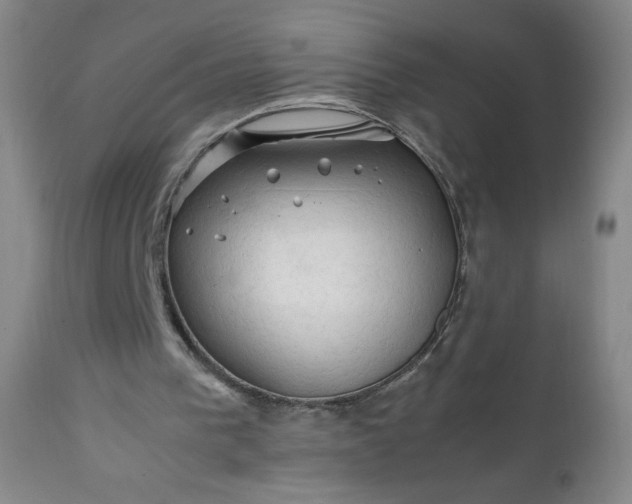 X0000112210193200908211526