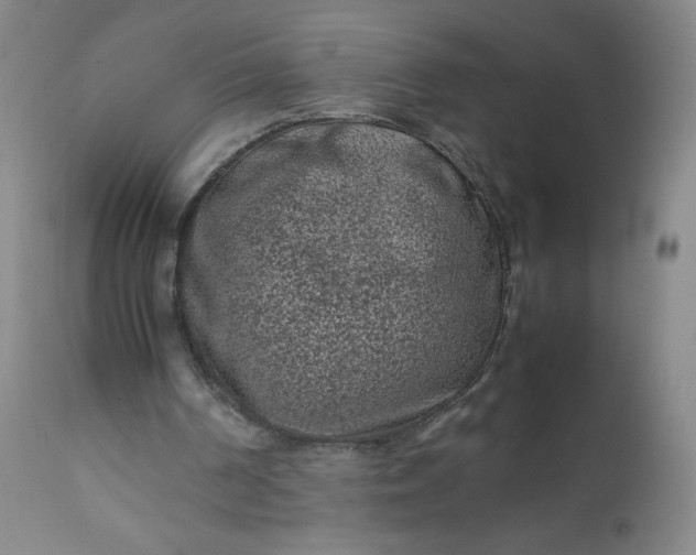 X0000112210194200908211526