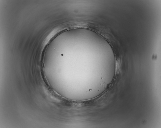 X0000112210195200908211526