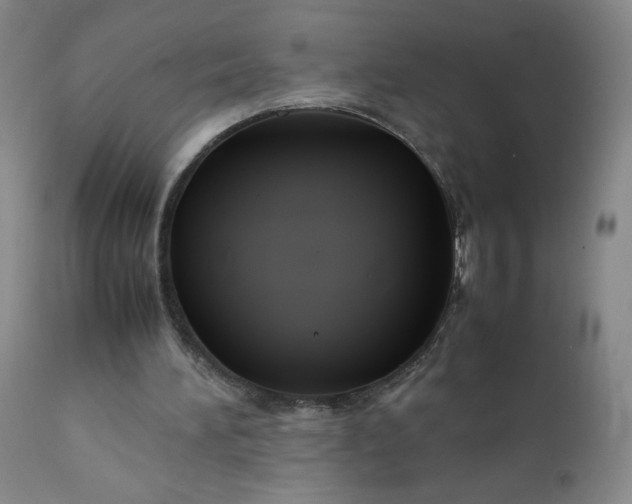 X0000112210196200908211526