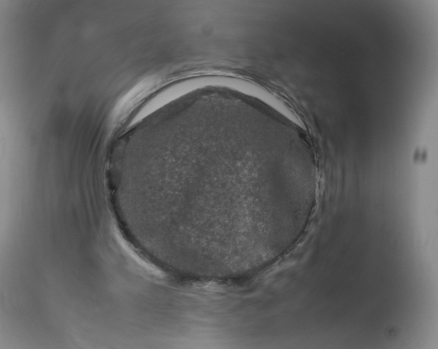 X0000112210197200908211526