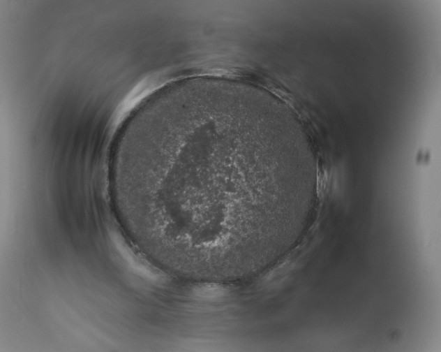 X0000112210198200908211526