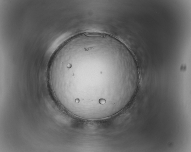 X0000112210199200908211526