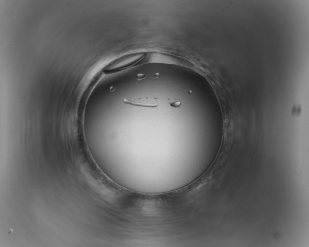 X0000112210200200908211526