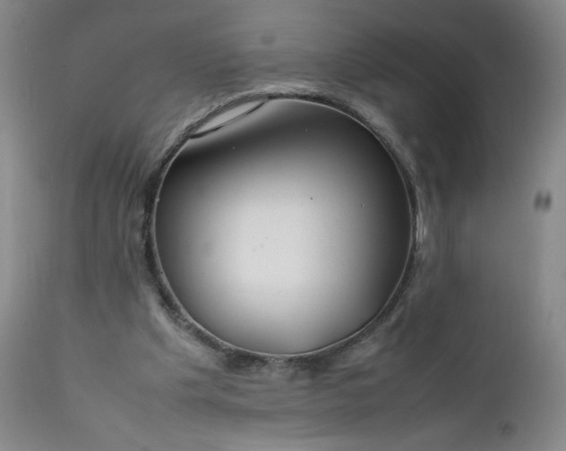 X0000112210201200908211526