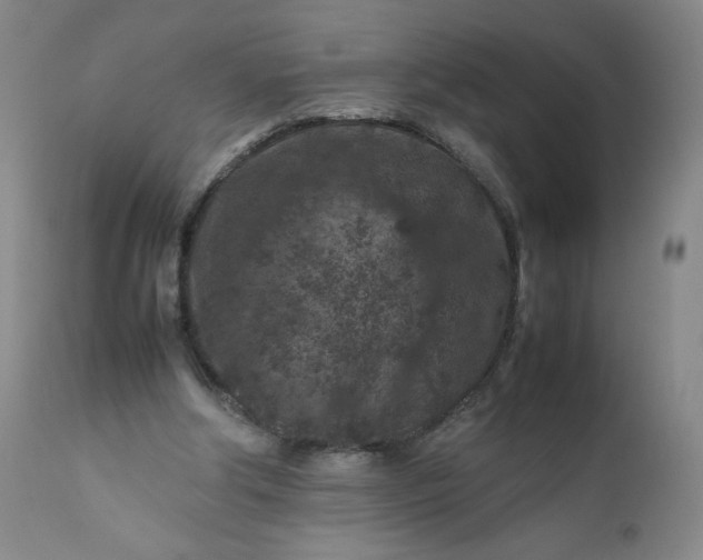 X0000112210202200908211526