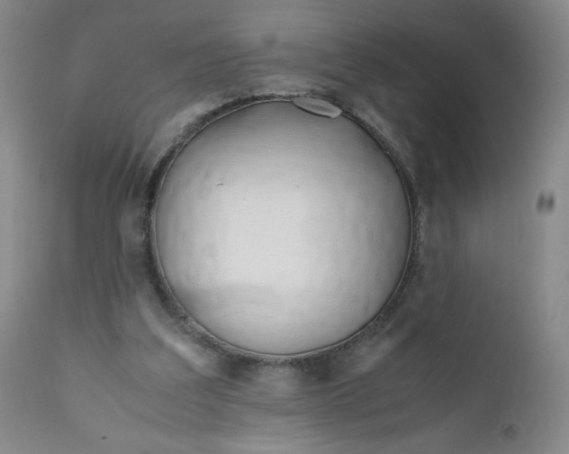 X0000112210203200908211526