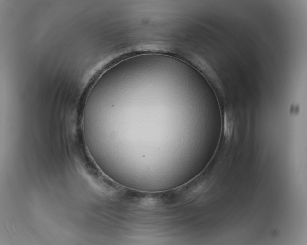 X0000112210204200908211526